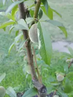 IMG_20170610_075613.jpg