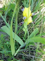 DSC00124.webp