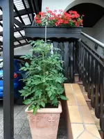 DSC00136.webp