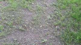 20170609_192755_resized.webp