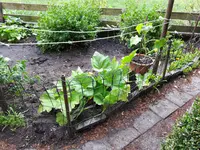 20170610_150946.webp