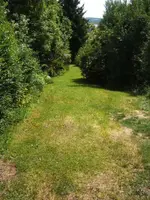 BILD6988.webp