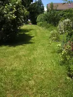 BILD6989.webp