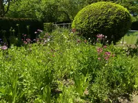 062.webp