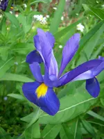 DSCI0298.webp