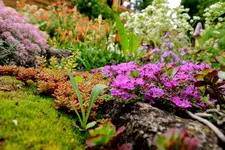 2017-05-30-1537.webp