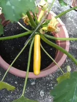 BILD6975.webp