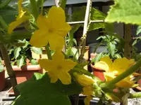 BILD6976.webp