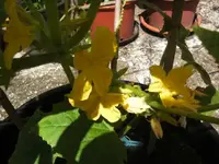 BILD6977.webp