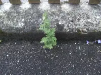 BILD6969.webp