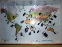 schau6.webp