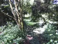 BILD7010.webp