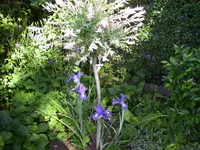 100_2336.jpg