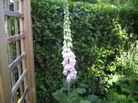 100_2335.webp