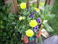 100_2343.webp
