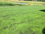 IMG_2444.jpg