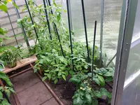 20170611_134303.jpg