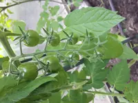 20170608_184408.webp