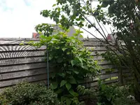 20170611_134817.webp