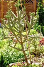 2017-06-11-1583.webp