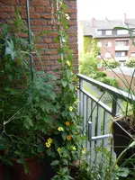 P1050932Susanne.webp