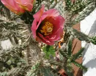 DSC06560.webp