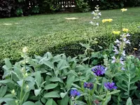 DSC00157.webp