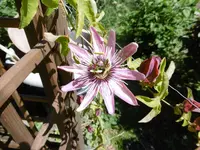 P1010008.webp