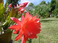 P1010023.webp