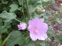 P1010036.webp