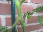 IMG_0265.jpg