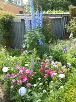 DSCN5349.jpg