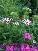 DSCN5302.webp