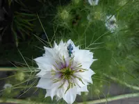 DSCN5297.webp