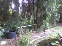 BILD6954.webp