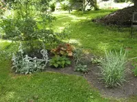 BILD6906.webp