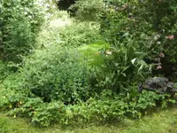 BILD6907.webp