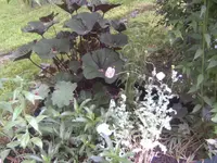 BILD6910.webp