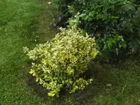 BILD6917.webp