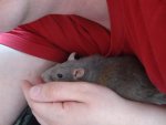 DSC07514.jpg