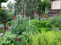 IMG_5536.webp