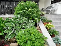 DSC00179.webp