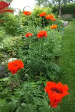 DSCF9093 (2).webp