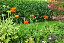 DSCF9096 (2).webp