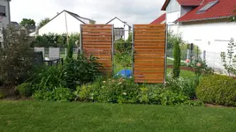 Beet Juni 2017.webp