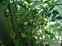 DSC00170.webp