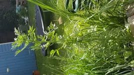 20170612_115748.webp