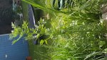 20170612_115748.jpg