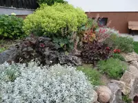 DSC00092.webp