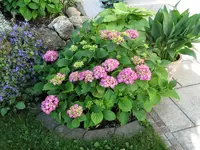 DSC00143.webp